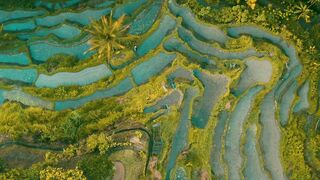 Rachel Cock onlyfans porn mov pack part 2
