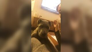 Teanna Trump leaked onlyfans nude movs pack