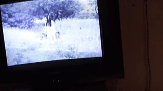 Eveline Dellai fresh onlyfans porn videos part 1