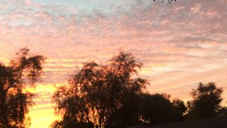 Exciting onlyfans rileyxinsta sex stream leaks part 1