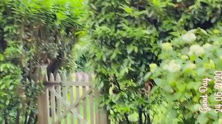 amber.killion onlyfans xxx movies pack
