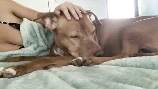 Onlyfans hot itskristinachai nude movies leaks mega pack 4
