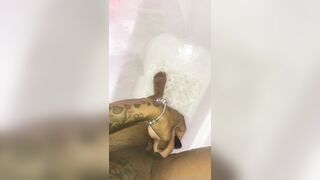 Onlyfans Seducktion nude videos pack part 4
