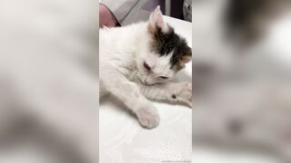 Leaked Oksi Roxi onlyfanssex movie pack part 3
