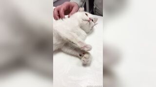 Leaked Oksi Roxi onlyfanssex movie pack part 3
