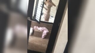 Fabiola Martine exciting onlyfans movie part 1
