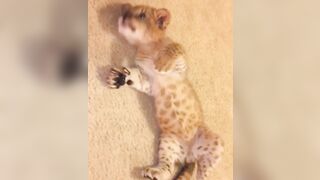 Leaked Sexi Barbie xxx movies part 3
